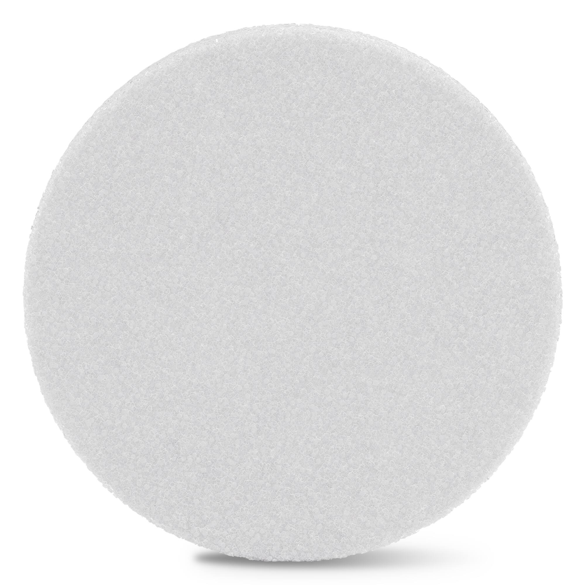 FloraCraft® 3.75" White CraftFōM® Discs, 4ct.